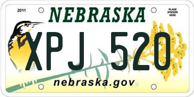 NE license plate XPJ520