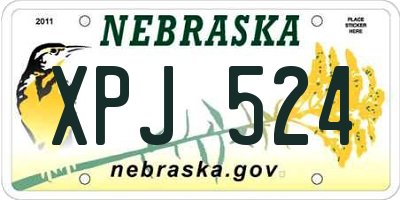 NE license plate XPJ524