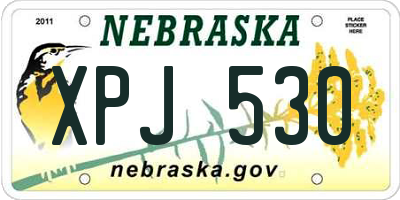 NE license plate XPJ530