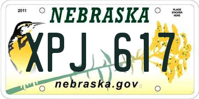 NE license plate XPJ617