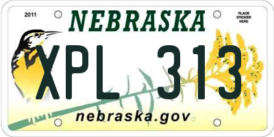 NE license plate XPL313