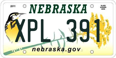 NE license plate XPL391