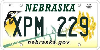 NE license plate XPM229