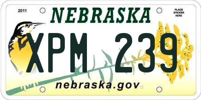 NE license plate XPM239