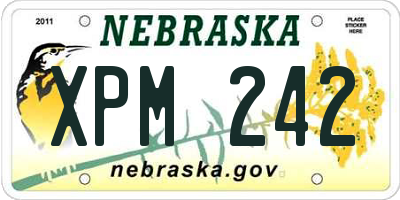 NE license plate XPM242