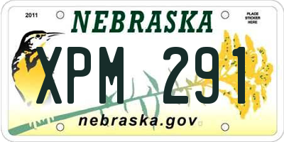 NE license plate XPM291
