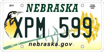 NE license plate XPM599