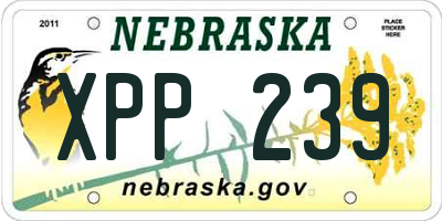 NE license plate XPP239