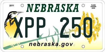 NE license plate XPP250