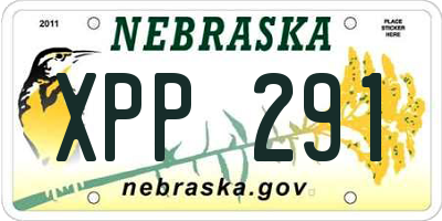 NE license plate XPP291
