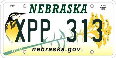 NE license plate XPP313