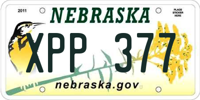 NE license plate XPP377