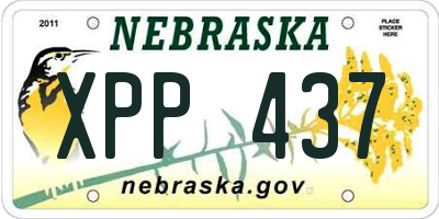 NE license plate XPP437
