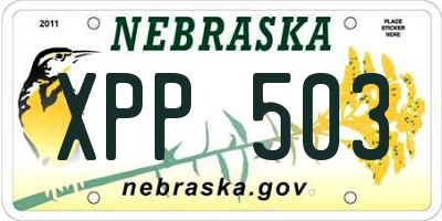 NE license plate XPP503
