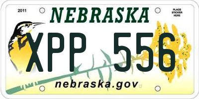 NE license plate XPP556