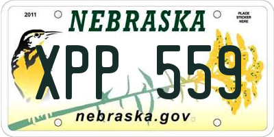 NE license plate XPP559