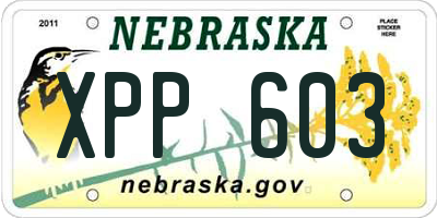 NE license plate XPP603