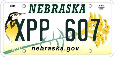 NE license plate XPP607