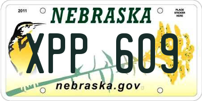NE license plate XPP609
