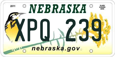 NE license plate XPQ239