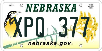NE license plate XPQ377