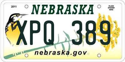 NE license plate XPQ389