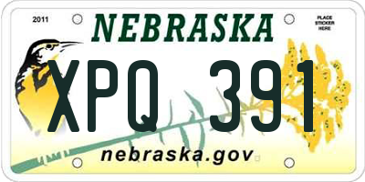 NE license plate XPQ391