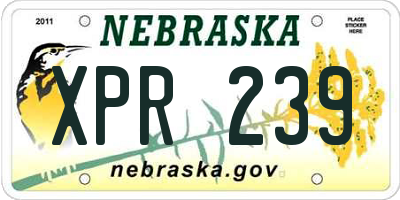 NE license plate XPR239