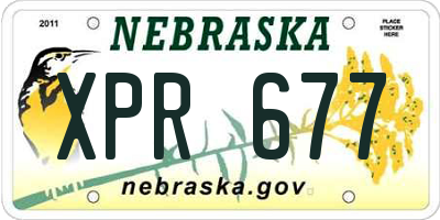 NE license plate XPR677