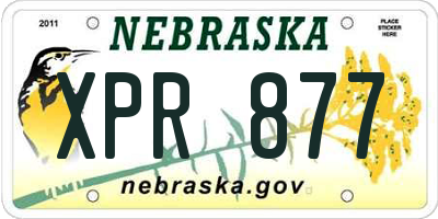 NE license plate XPR877