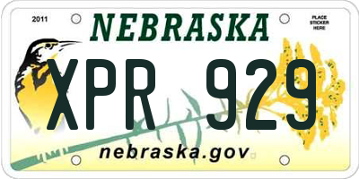 NE license plate XPR929