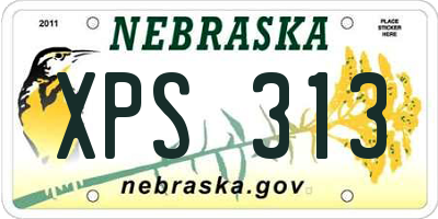 NE license plate XPS313