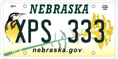 NE license plate XPS333