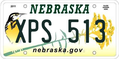 NE license plate XPS513