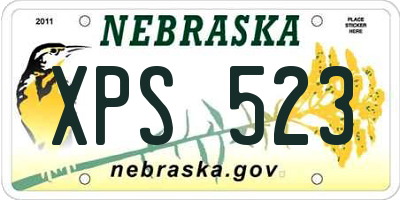 NE license plate XPS523