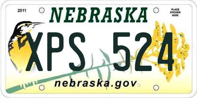 NE license plate XPS524
