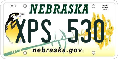 NE license plate XPS530
