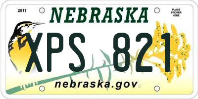 NE license plate XPS821
