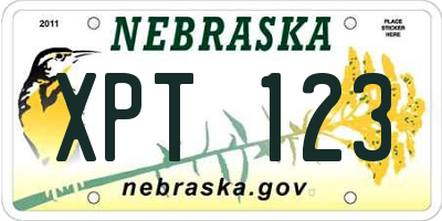 NE license plate XPT123