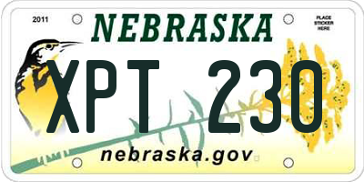 NE license plate XPT230
