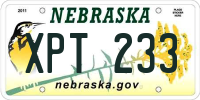 NE license plate XPT233
