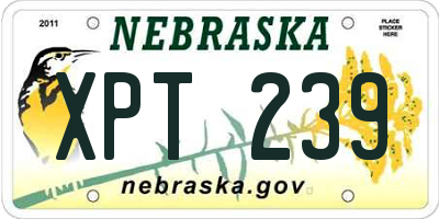 NE license plate XPT239