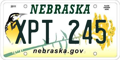 NE license plate XPT245