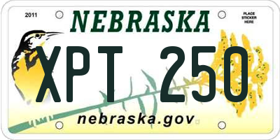 NE license plate XPT250