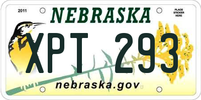 NE license plate XPT293