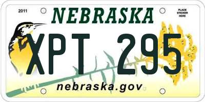 NE license plate XPT295