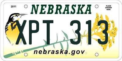 NE license plate XPT313
