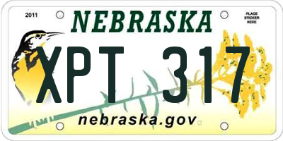 NE license plate XPT317