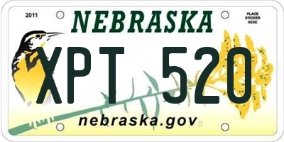 NE license plate XPT520