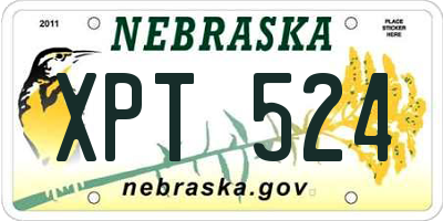 NE license plate XPT524